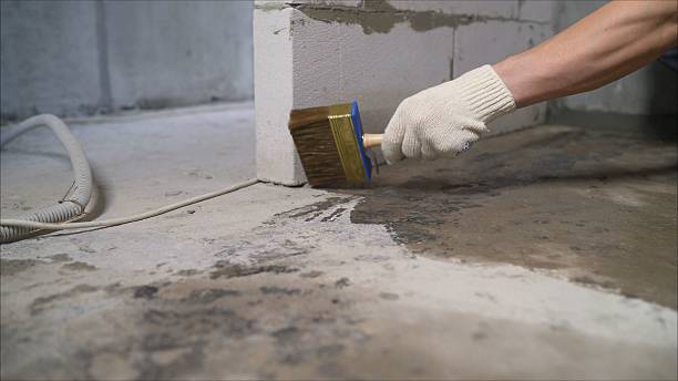 SJ Waterproofing Pros Basement Waterproofing coverage map for Bunker Hill, IL and surrounding area